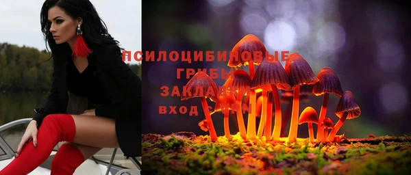 крисы Алексин
