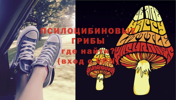 крисы Алексин